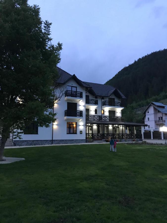 Pensiunea Edelweiss Voineasa Exterior foto